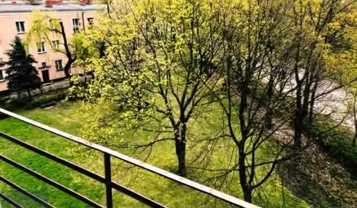 Mieszkanie 1-pokojowe Gliwice Łabędy, ul. Ludwika Waryńskiego