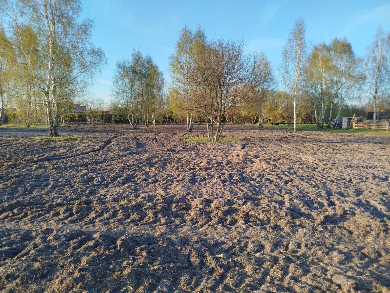 Działka budowlana Kiki. Zdjęcie 5