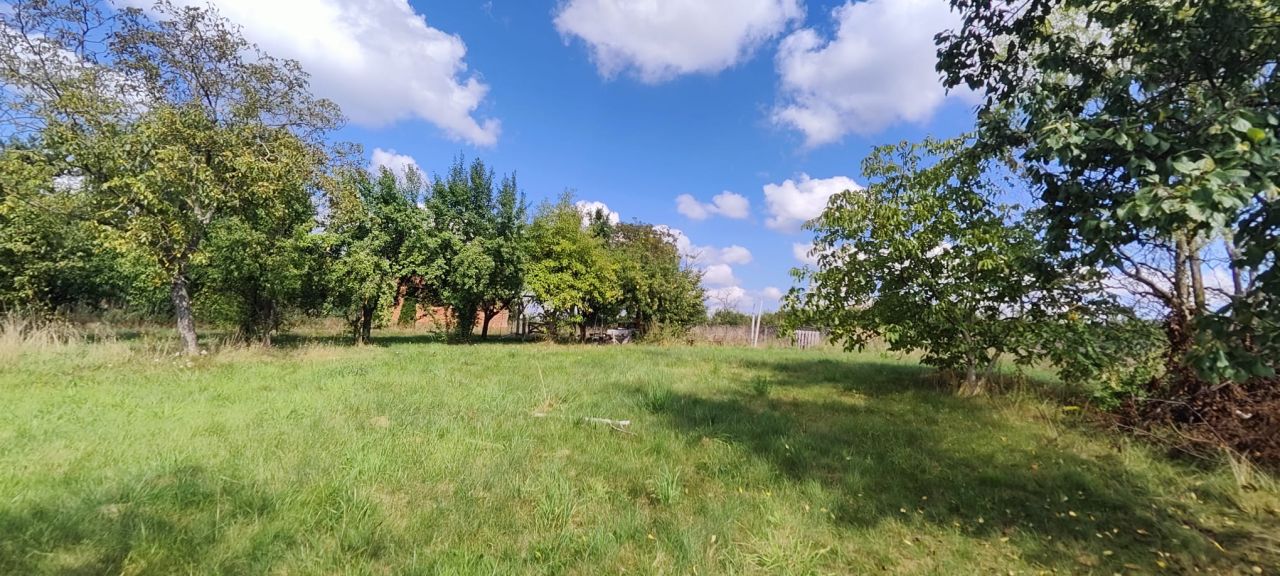 Działka rolno-budowlana Chmielinko. Zdjęcie 3