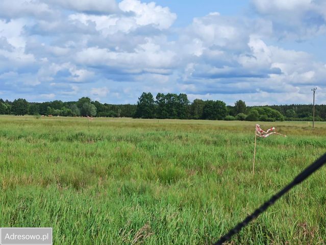 Działka rolna Racimierz. Zdjęcie 1