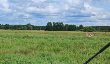 Działka rolna Racimierz