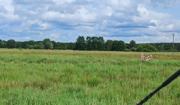 Działka rolna Racimierz