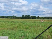 Działka rolna Racimierz