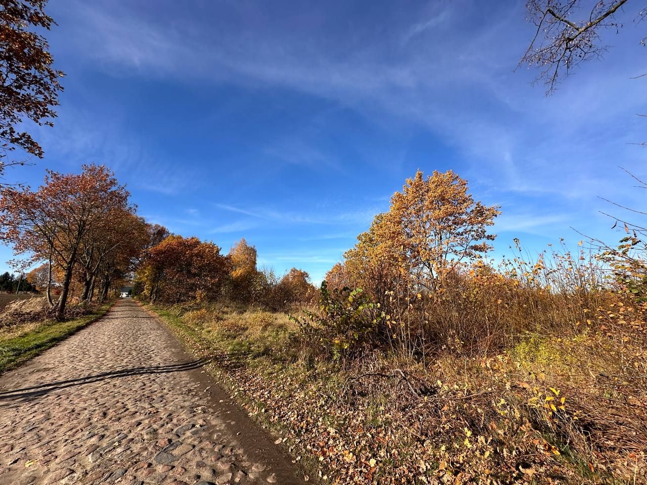 Działka budowlana Chełmica. Zdjęcie 5
