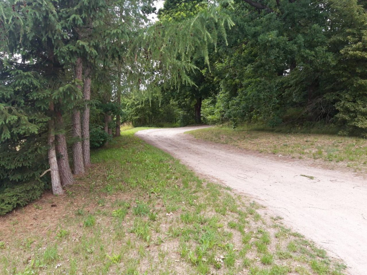 Działka budowlana Lipie. Zdjęcie 2