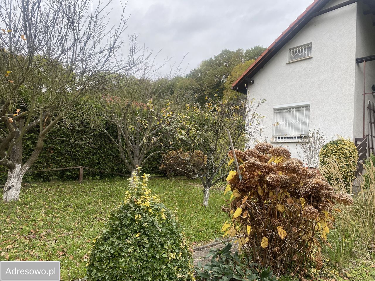 Działka rod Racibórz, ul. Brzeska. Zdjęcie 8