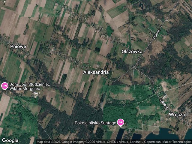 Działka rolna Aleksandria. Zdjęcie 1
