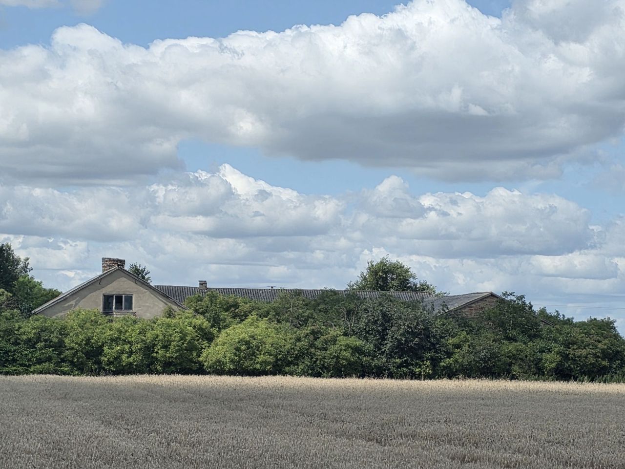 Działka siedliskowa Ossówka. Zdjęcie 2