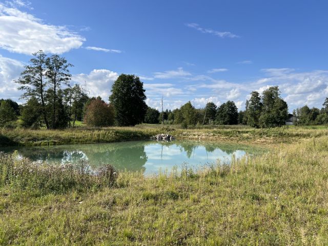 Działka rolno-budowlana Olszanka, Olszanka. Zdjęcie 1
