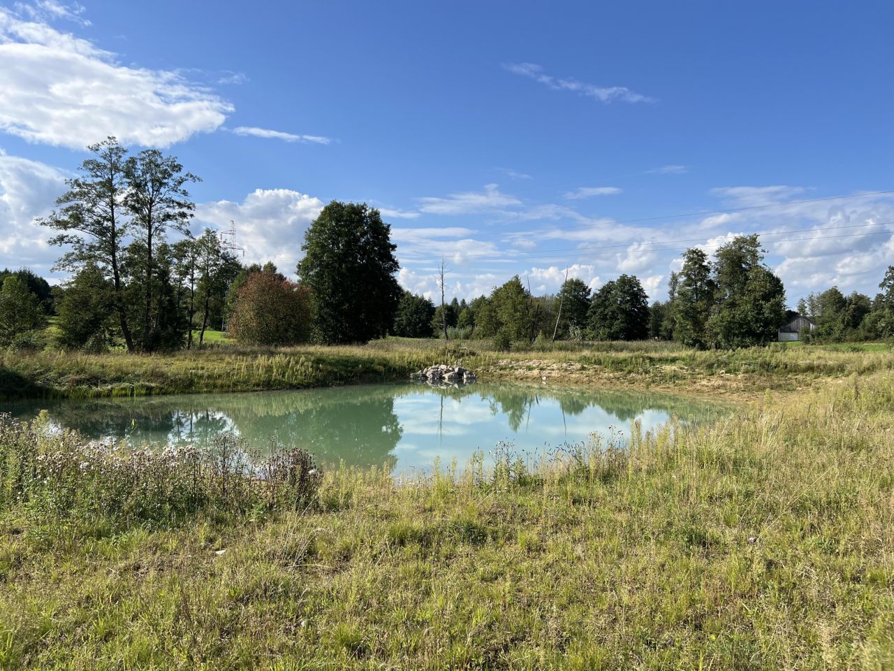 Działka rolno-budowlana Olszanka, Olszanka. Zdjęcie 1
