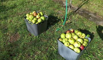 Działka rod Straszyn, ul. inż. A. Hoffmanna