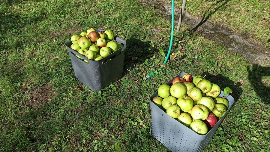 Działka rod Straszyn, ul. inż. A. Hoffmanna. Zdjęcie 2