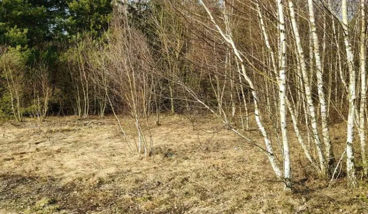 Działka rolno-budowlana Zasonie