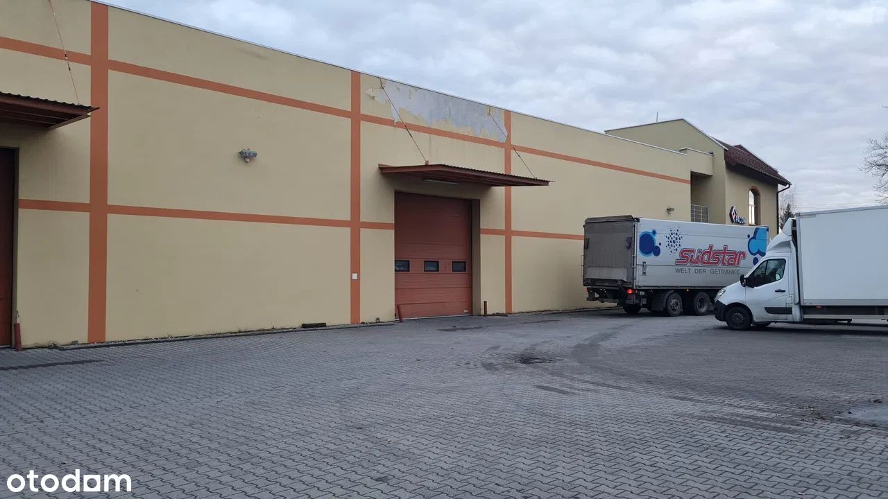 Biuro Golędzinów, ul. Trzebnicka. Zdjęcie 11