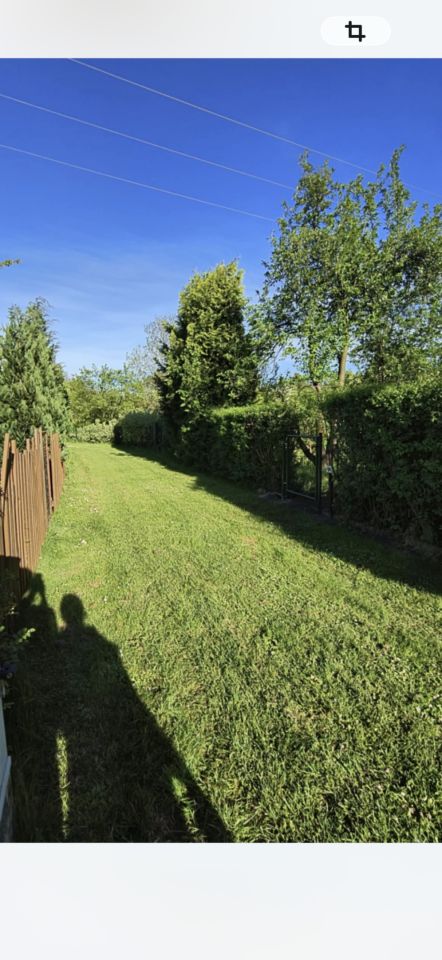 Działka rod Gdańsk Olszynka, ul. Olszyńska. Zdjęcie 3