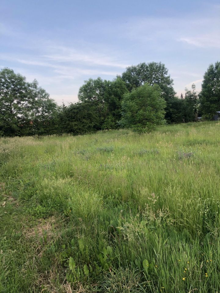 Działka budowlana Miłoradz, ul. Żuławska. Zdjęcie 2