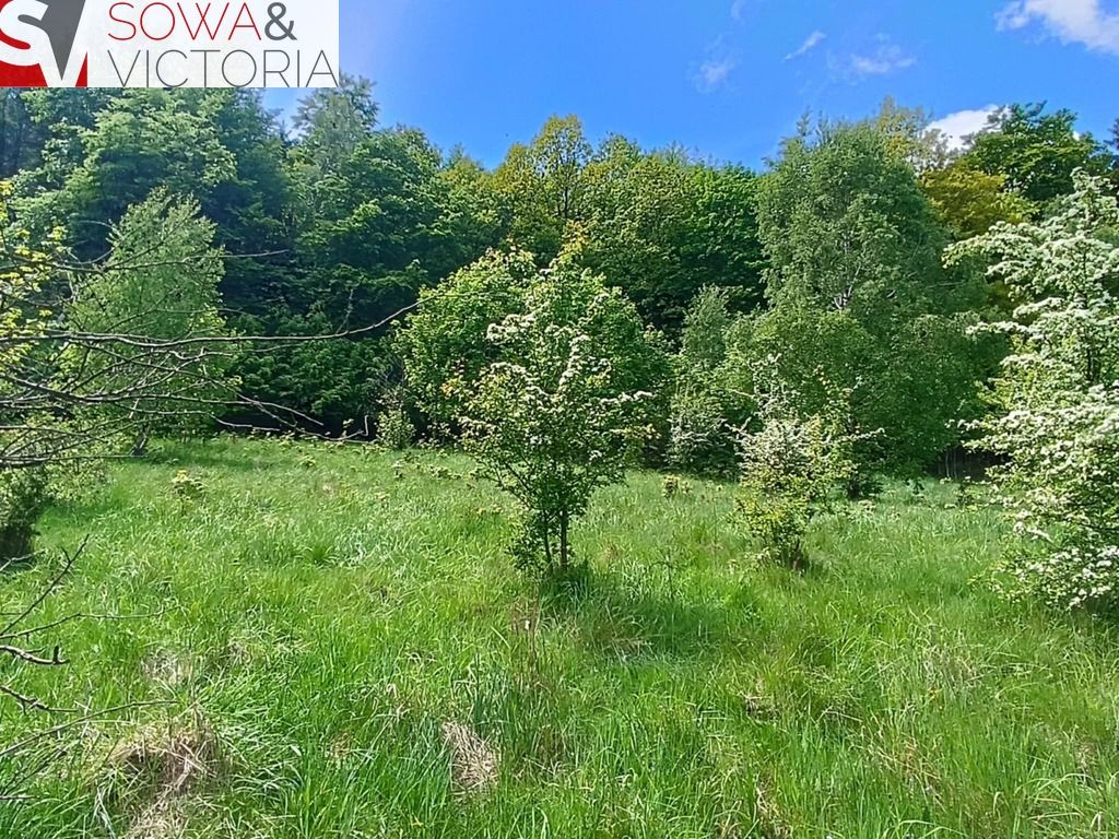 Działka budowlana Jedlina-Zdrój Kamieńsk. Zdjęcie 9