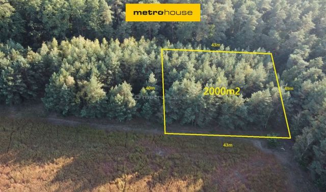 Działka budowlana Zalesie Borowe. Zdjęcie 1