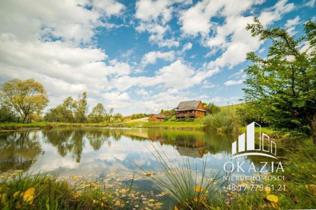 Nieruchomość komercyjna Równia. Zdjęcie 15