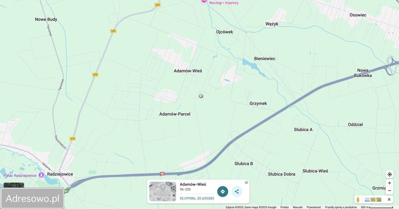 Działka leśna Adamów-Wieś, ul. Kaliny. Zdjęcie 4