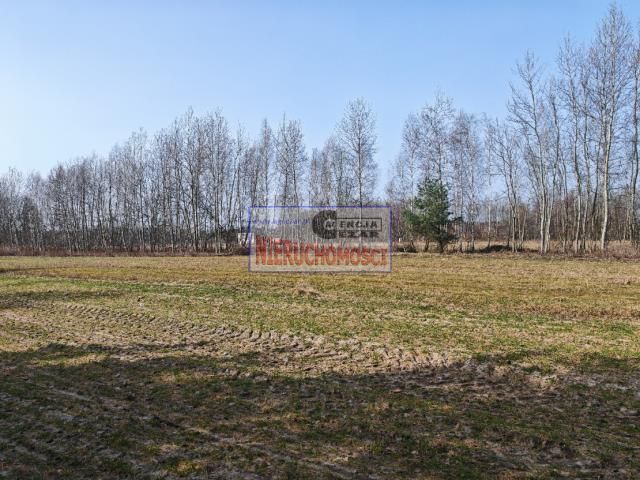 Działka budowlana Grabina. Zdjęcie 7