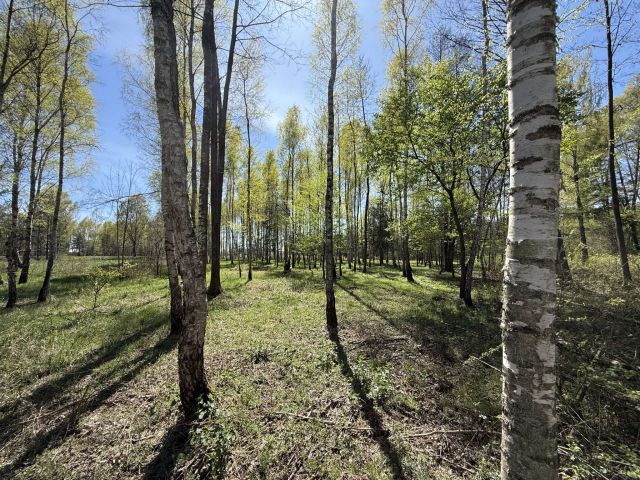 Działka budowlana Rybna, ul. Kręta. Zdjęcie 5