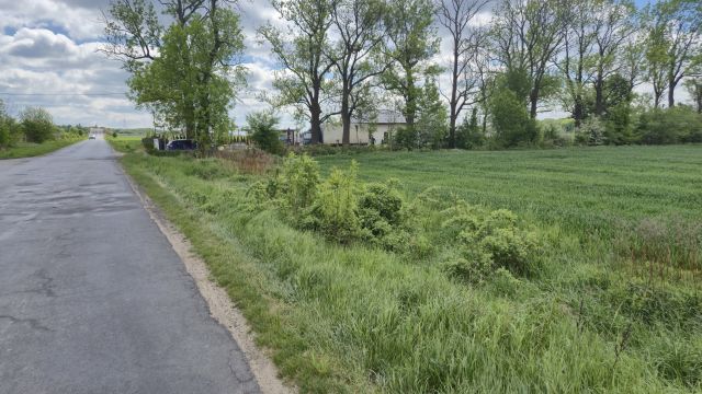 Działka rolno-budowlana Syców, ul. Polna. Zdjęcie 4