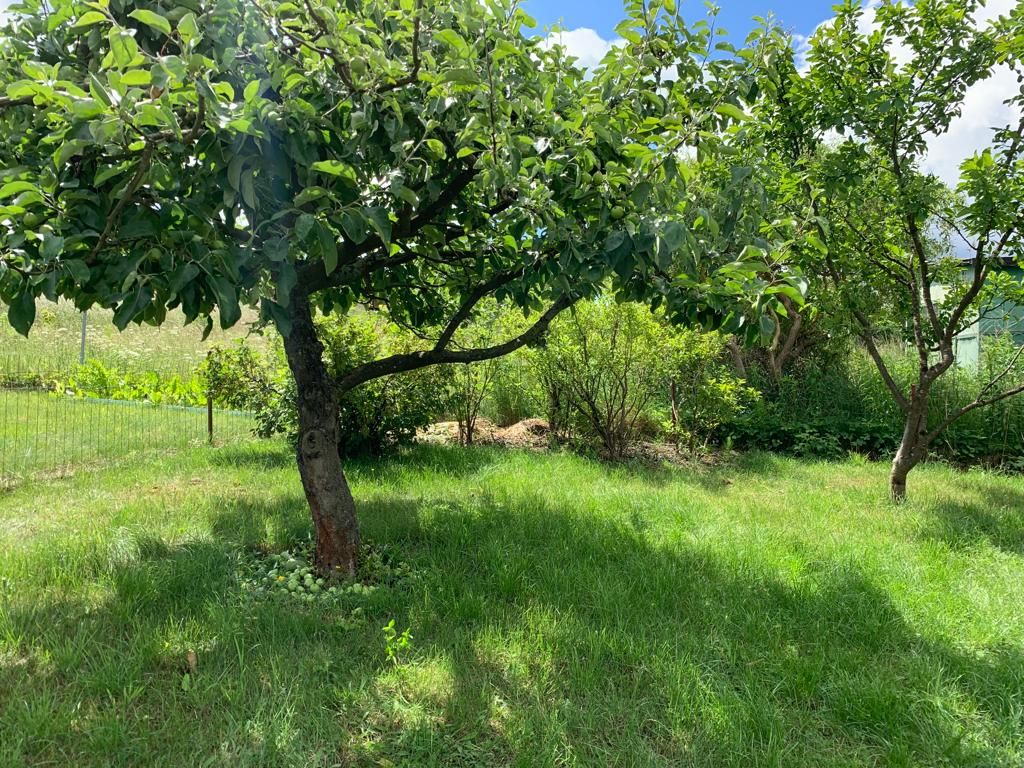 Działka rod Połczyn-Zdrój, ul. Traugutta. Zdjęcie 3