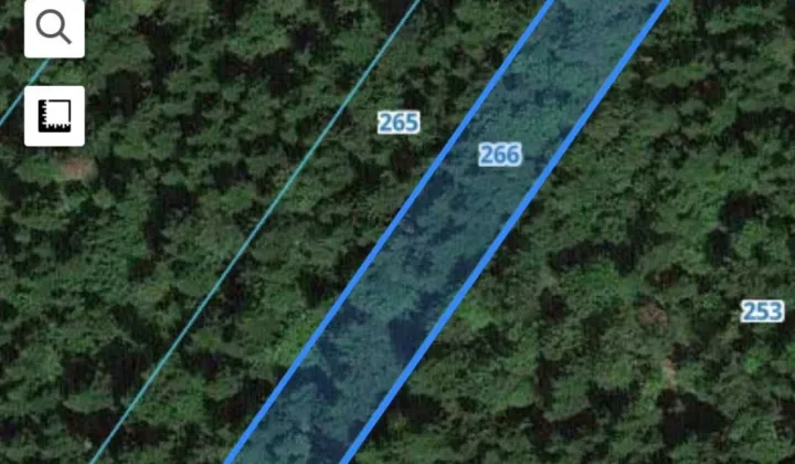 Działka leśna Kotów