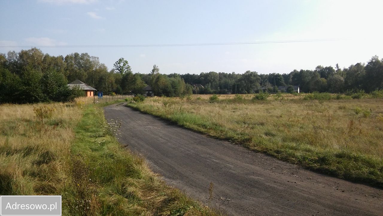 Działka rolno-budowlana Masłońskie. Zdjęcie 8