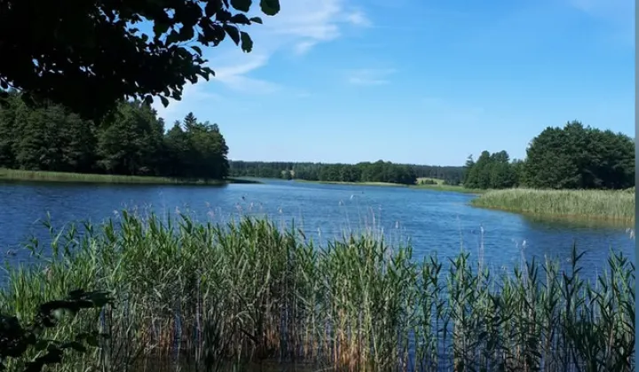 Działka rolna Dobra Wola