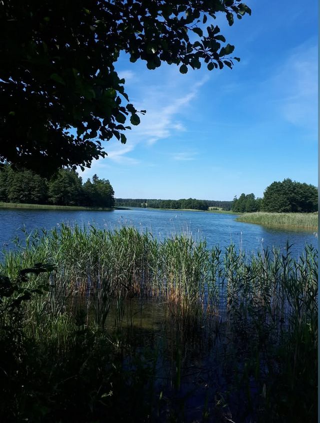 Działka rolna Dobra Wola. Zdjęcie 1