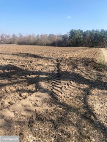 Działka rolna Sierosław, ul. Morwowa. Zdjęcie 1