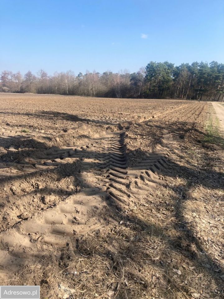 Działka rolna Sierosław, ul. Morwowa. Zdjęcie 1