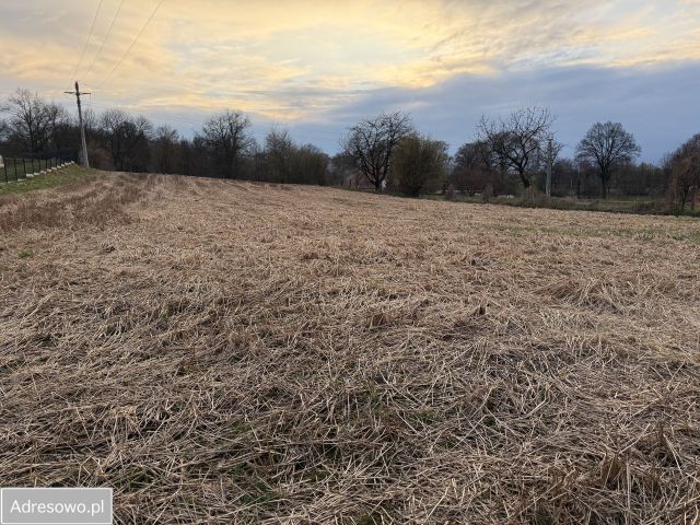 Działka budowlana Lubiatów. Zdjęcie 1