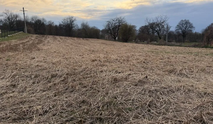 Działka budowlana Lubiatów