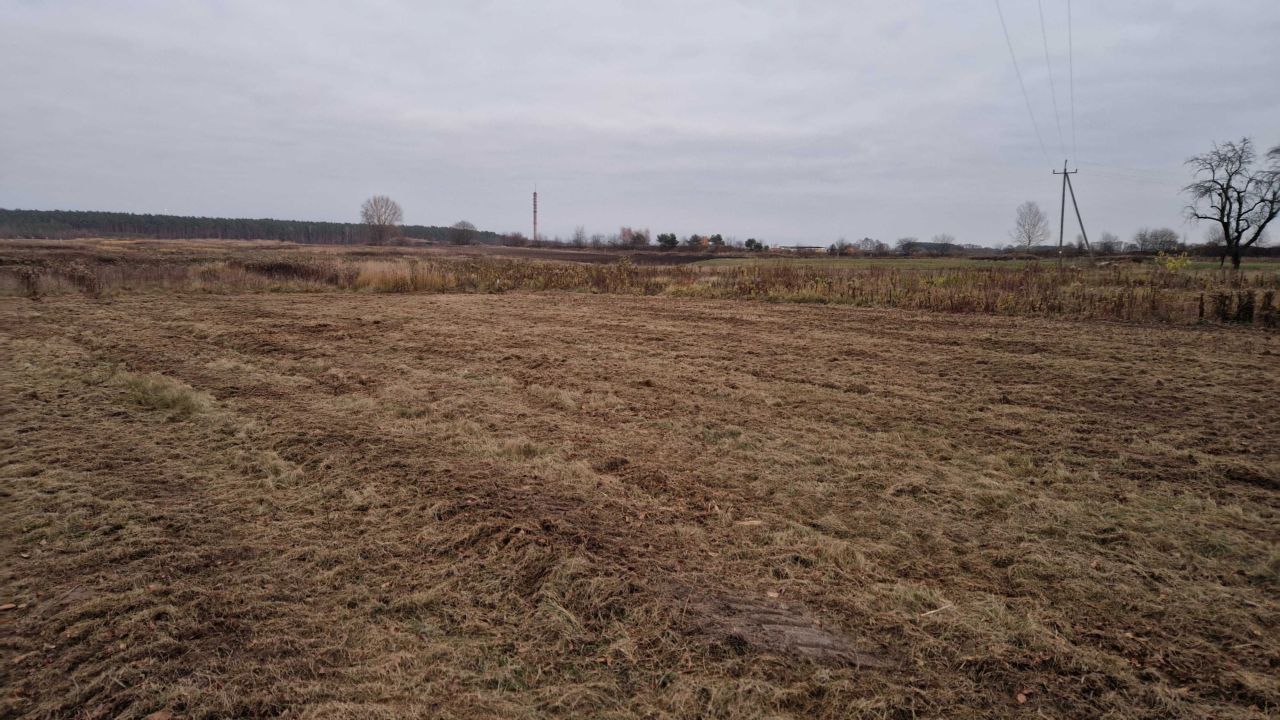 Działka rolno-budowlana Dzierzązna. Zdjęcie 5