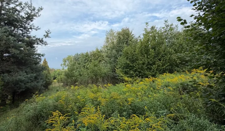Działka budowlana Pogorzyce Stoki, ul. Bartnicza