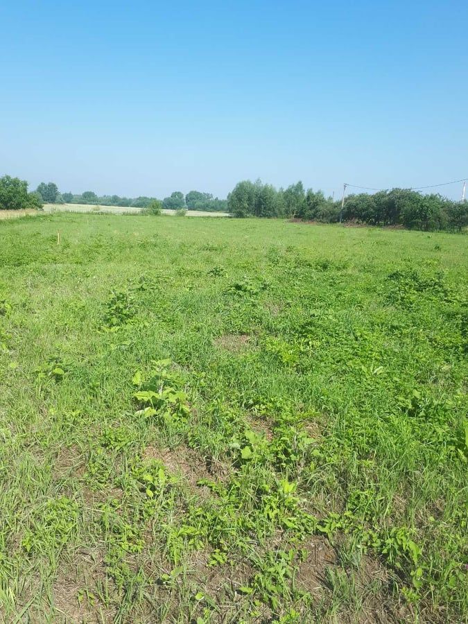 Działka rolna Tarnobrzeg Wielowieś, ul. Nowa. Zdjęcie 5