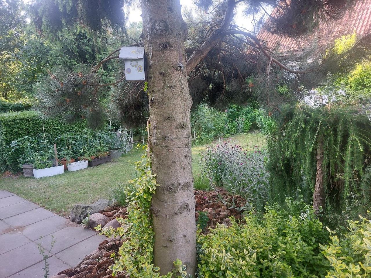 dom wolnostojący, 5 pokoi Przasnysz, ul. Zawodzie. Zdjęcie 7