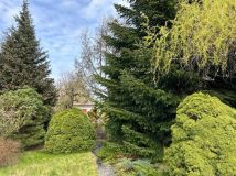 Działka rod Myślibórz. Zdjęcie 4