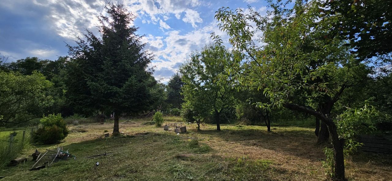 Działka rod Wrocław Psie Pole, ul. Sołtysowicka. Zdjęcie 6