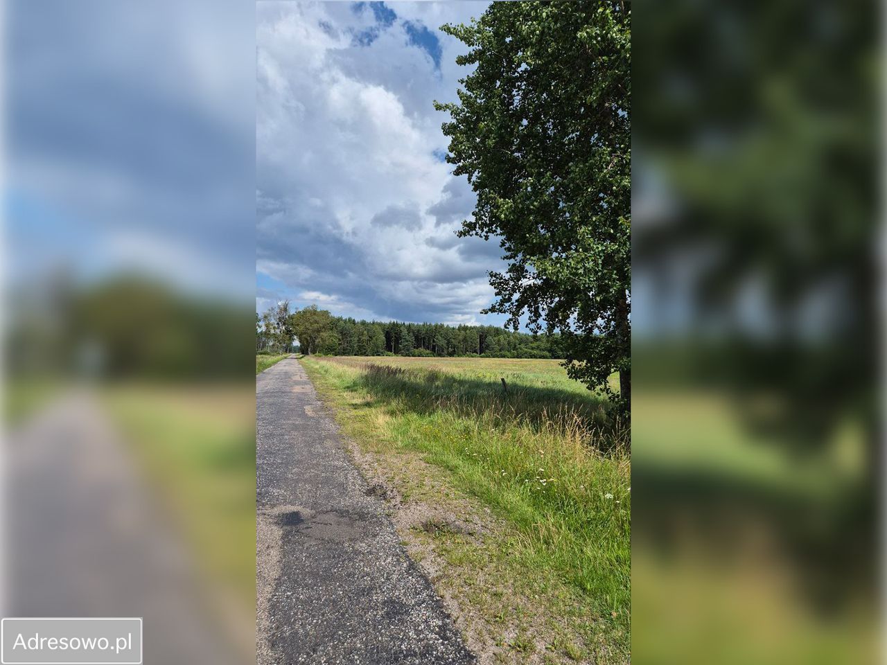 Działka inwestycyjna Czarne. Zdjęcie 4