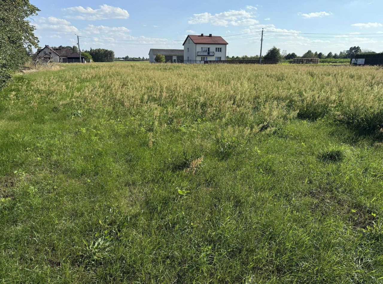 Działka rolna Czarna. Zdjęcie 1
