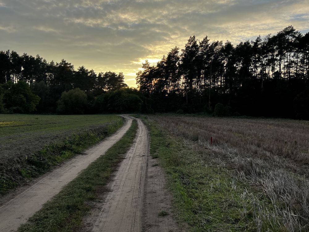 Działka budowlana Dąbrowa. Zdjęcie 6