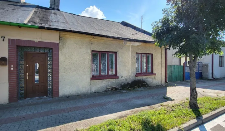 bliźniak Izbica Kujawska