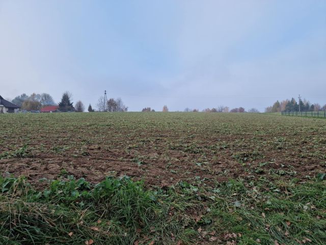 Działka rolno-budowlana Jaroszówka. Zdjęcie 1