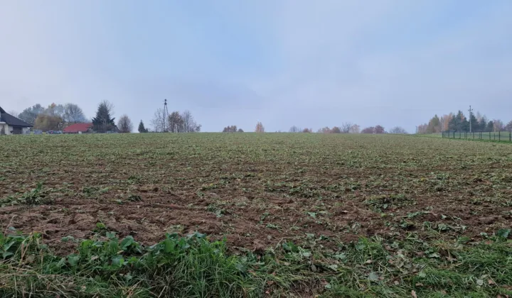 Działka rolno-budowlana Jaroszówka