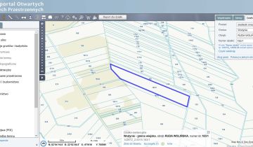 Działka leśna Ruda Wolińska