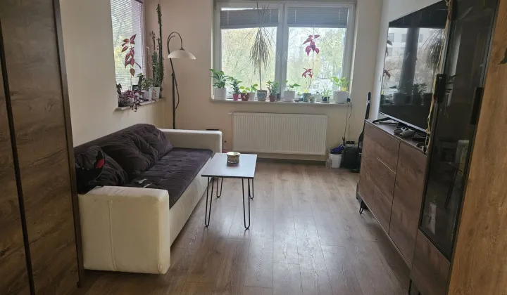 Mieszkanie 2-pokojowe Pruszków